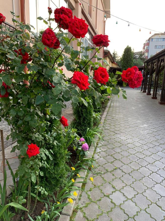 Pensiunea Passion Букурещ Екстериор снимка